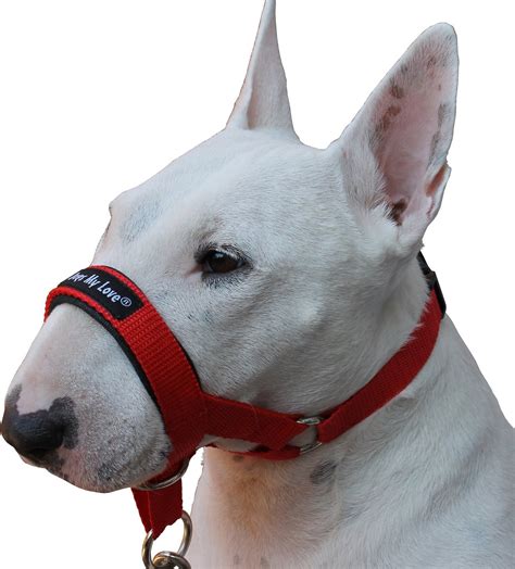 Dogs My Love Halter Dog Head Collar Red Xx Large