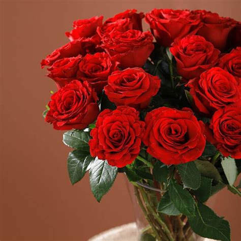 Enticing Red Roses In Vase Red Rose In Vase Flower Vase Arrangement