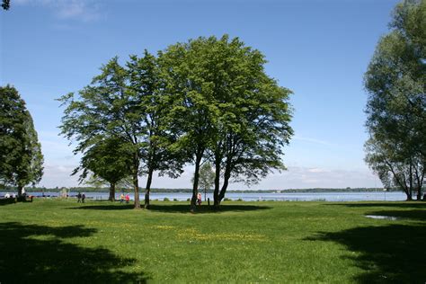 Free Images Landscape Tree Water Grass Lawn Meadow Lake Park