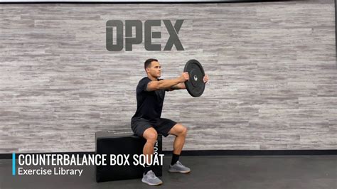 Counterbalance Box Squat Youtube