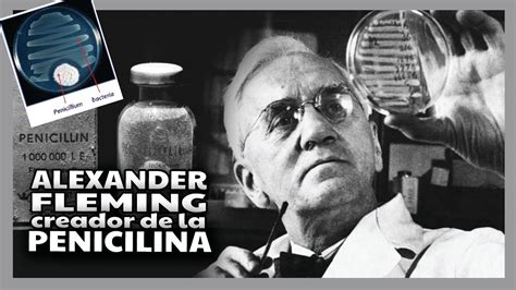 C Mo Descubri Alexander Fleming La Penicilina Youtube