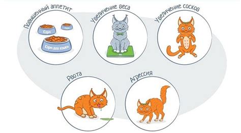 Signs Of Pregnancy In Cats