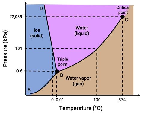 Water Phase Diagram 3D