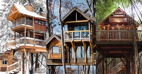 These Are The Best And Most Unique Airbnb Treehouses In The Us