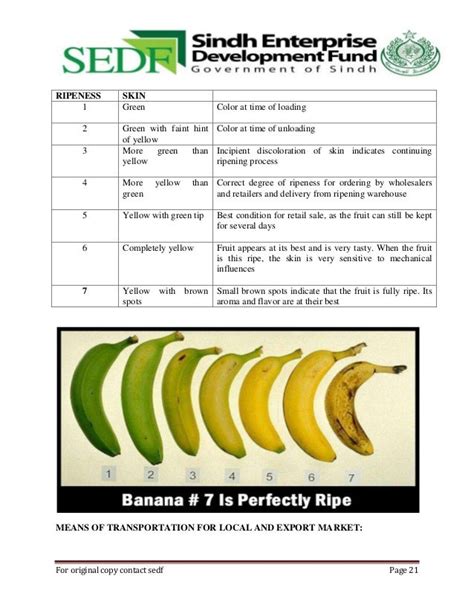 Technical Guide Book Of Bananasedf