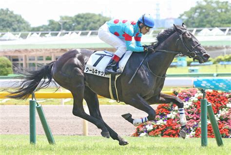 雑談掲示板 † wikiの規約上、r18ngです(詳細)。 節度を守ったご利用をお願い致します。 質問をしたい場合は質問掲示板のコメントへ書き込みましょう。 メイクデビュー東京を制したC・ルメール騎乗のクールキャット ...