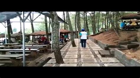 Tapi, gunung yang terletak di. Taman Pinus Kota Batu malang jawa timur,Tempat Ngopi di ...