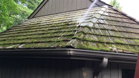 Cedar wood comes from red cedar or other types of cedar trees that can be replanted. Cedar Roof Soft Wash - YouTube