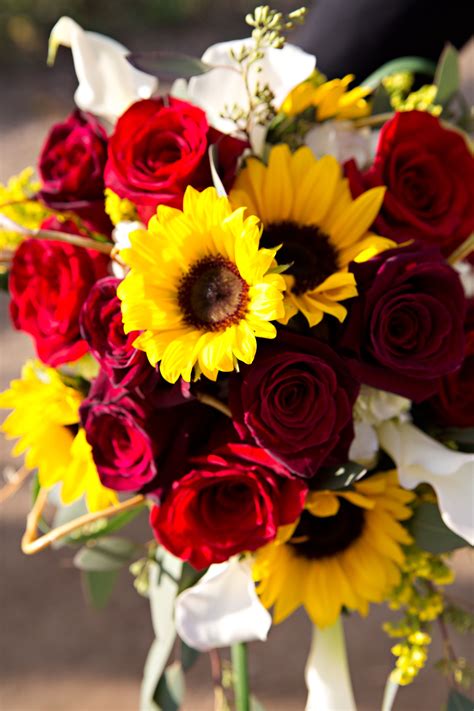 Maybe you would like to learn more about one of these? Sunflowers, dark red roses and calla lilies | Sunflowers ...