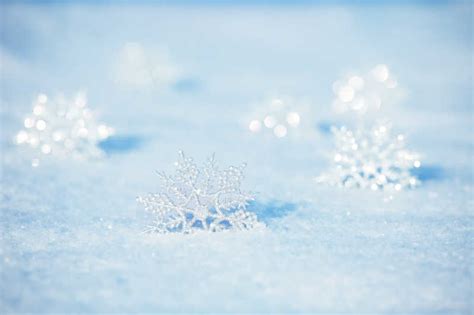 漂亮的白雪世界图片 美丽的雪花近照素材 高清图片 摄影照片 寻图免费打包下载