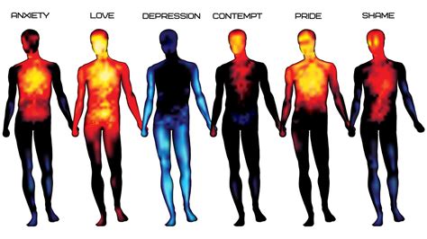 Heatmaps Reveal Where People Feel Emotions On The Body