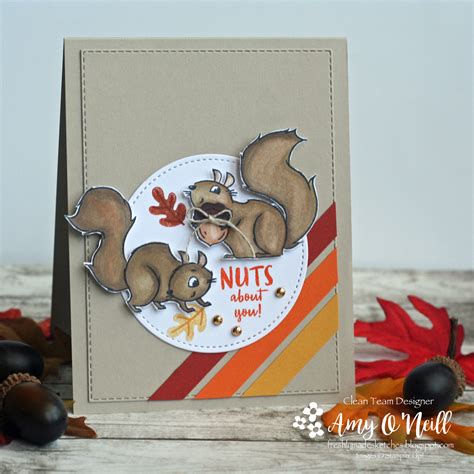 Nutty Squirrels — Fms506