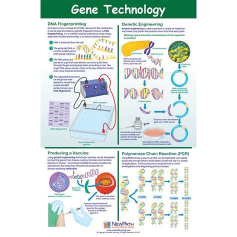 Biotechnology Poster Carolina Biological Supply