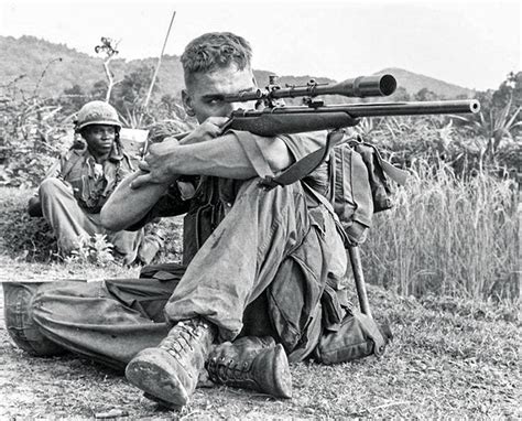 Sniper Rifles Used In Vietnam