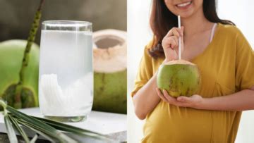 Air kelapa adalah minuman menyegarkan yang banyak disukai orang, yang akan membantu menjaga tubuh agar tetap terhidrasi dan segar. Minum Air Kelapa Saat Hamil Bikin Bayi Lahir Putih dan ...