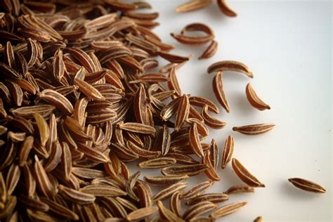 Dogs can safely eat pumpkin seeds as well as cooked or raw pumpkin. Caraway Seeds for Dogs are Good for Dog Health | The ...