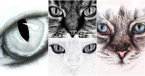25 Easy Cat Eye Drawing Ideas How To Draw A Cat Eye