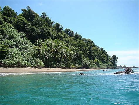 Isla Del Ca O Plages Mer Parc National Corcovado P Ninsule D