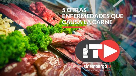 Bacteria Carne De Porco