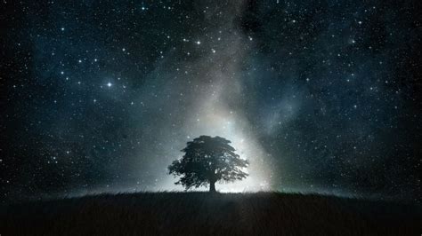 Trees Stars Artwork Night Landscapes Night Sky Exclusive 1920x1080