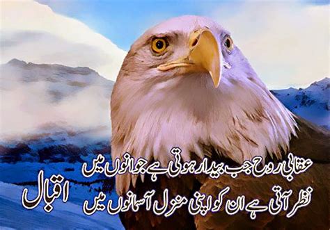 Poetry And Quotes Shaheen