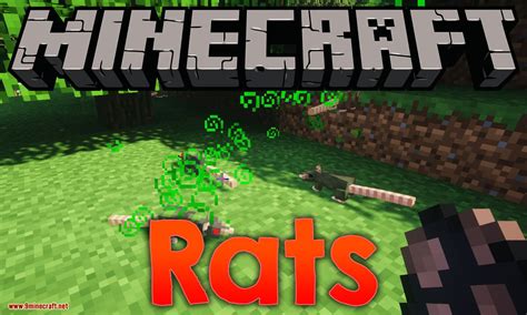 Rats Mod 11651152 Awesome Mod About Rat 9minecraftnet