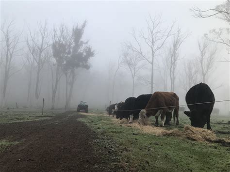 4 Best Ufrostfarms Images On Pholder A Late Winter Morning Fog Here