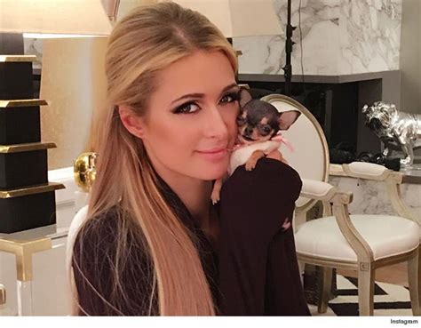 paris hilton got a new 8 000 bitch