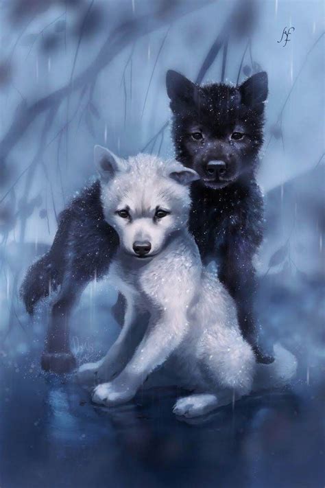 Wolf Kawaii Puppy Wallpaper Pets Lovers