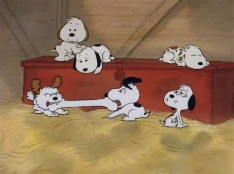ぬん on Twitter Snoopy family Snoopy pictures Snoopy