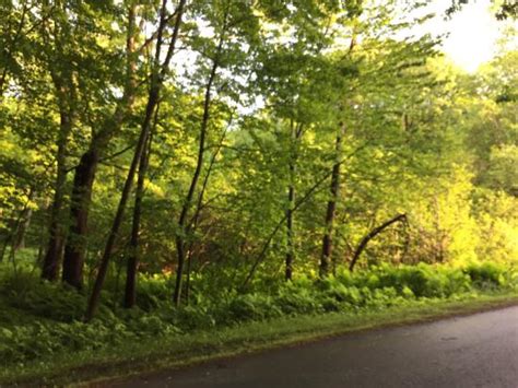 Maybe you would like to learn more about one of these? Selkirk Shores State Park (Pulaski) - 2021 All You Need to ...