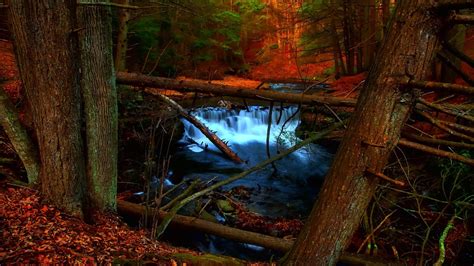 Waterfall And Creek In Autumn Woods Hd Wallpaper