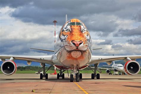 The 7 Coolest Airplane Liveries In The World And The Stories Behind