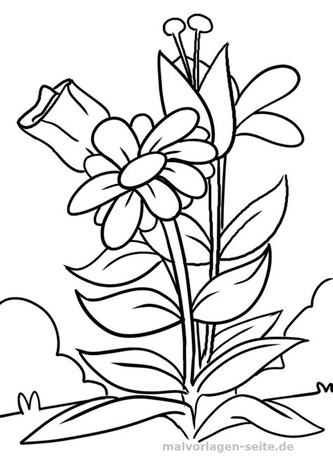 Blumen zum ausmalen