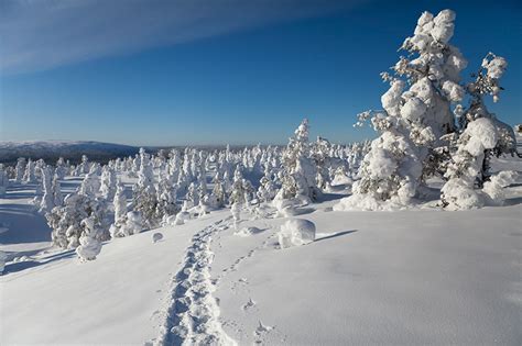 What to do in finland in winter. Desktop Hintergrundbilder Lappland Landschaft Finnland Natur Winter