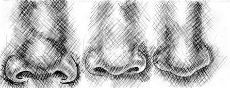 Draw the nose take a picture of your own nose or find some good pho. How To Draw Realistic Noses, Draw Noses, Step by Step ...