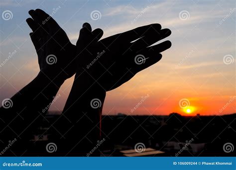 Silhouette Of A Hand Gesture Like Bird Stock Photo Image Of Beautiful