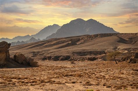Premium Photo Sinai Mountains Mountains Sharm El Sheikh At Southern