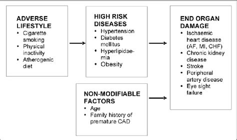 Major Risk Factors For Cardiovascular Disease Download Scientific