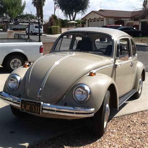 Beetle barn from johnsons' bees and supplies. 1969 vw beetle 35k miles one owner barn find - Classic ...