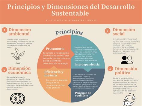 Desarrollo Sustentable Principios De La Sustentabilidad Images Hot