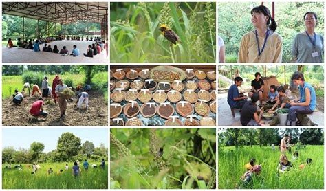 Taking Care Of Our Common Home Through An Ecological Agriculture
