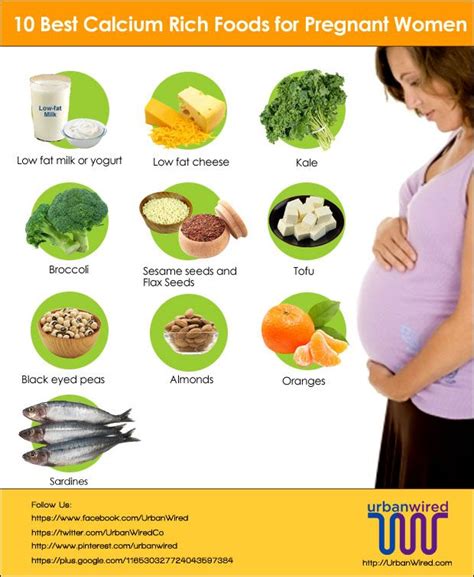 Also, it is rich in essential minerals and vitamins. Urban Wired | Food for pregnant women, Good vitamins for ...