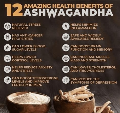 Ashwagandha Health Benefits For Women And Men My Phenom Fitness