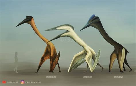 Mario Lanzas On Instagram “gigants Of The Cretaceous Skies Pterosaurs Paleoart Azhdarchide