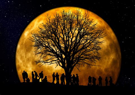 Silhouette Of Tree And Group Of People In Front Of Full Moon Hd