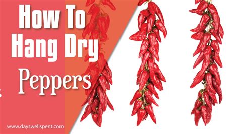 How To String And Hang Dry Peppers Youtube
