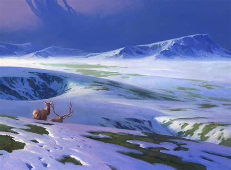 Snow Covered Plains Mtg Art From Kaldheim Set By Adam Paquette Art Of