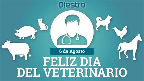 Bello antioquia cedenorte cedenorte bello cedenorte dia del diseñador grafico cedenorte institucion tecnica cedenorte la union cedenorte la union. ¡Feliz día del Veterinario! - Diestro