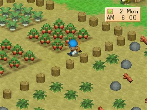 Harvest Moon Back To Nature For Pc Fullversion Download Game House